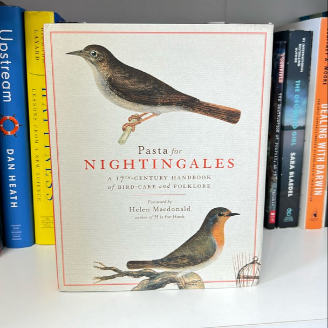 Pasta for Nightingales