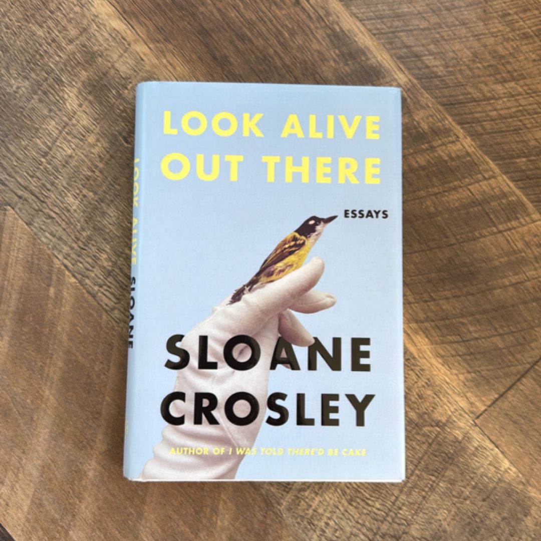 Look Alive Out There