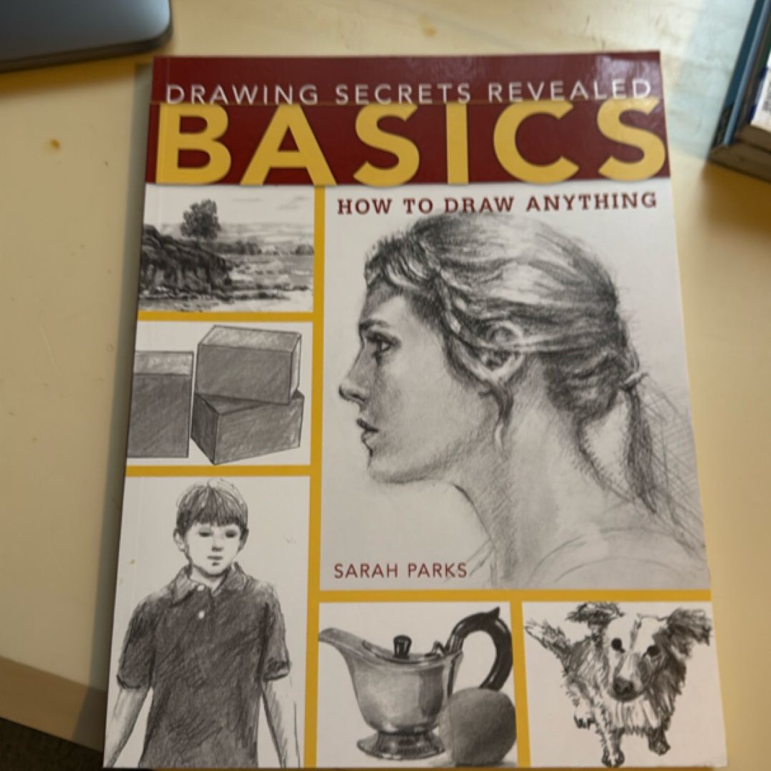 Drawing Secrets Revealed - Basics