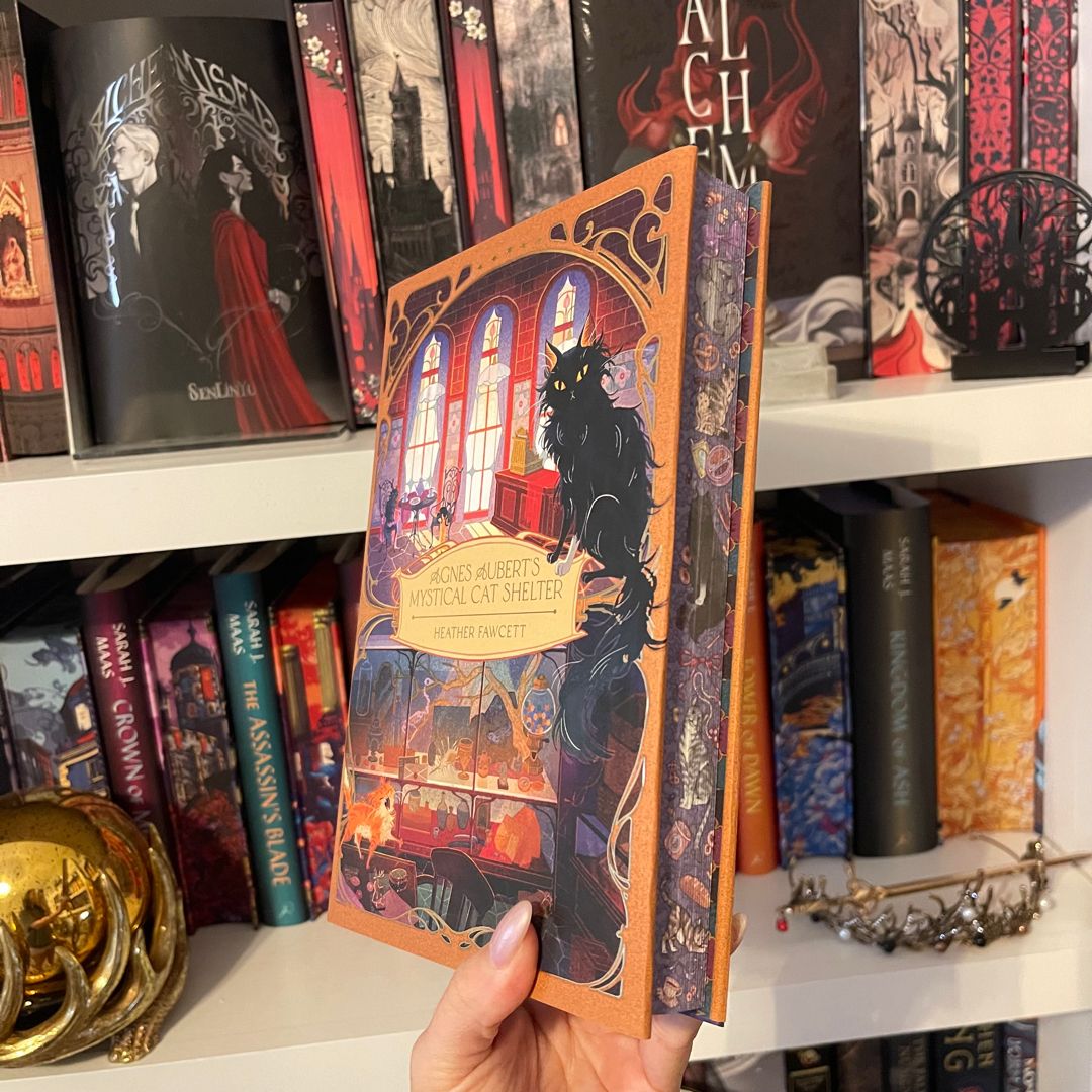 Agnes Aubert’s Mystical Cat Shelter