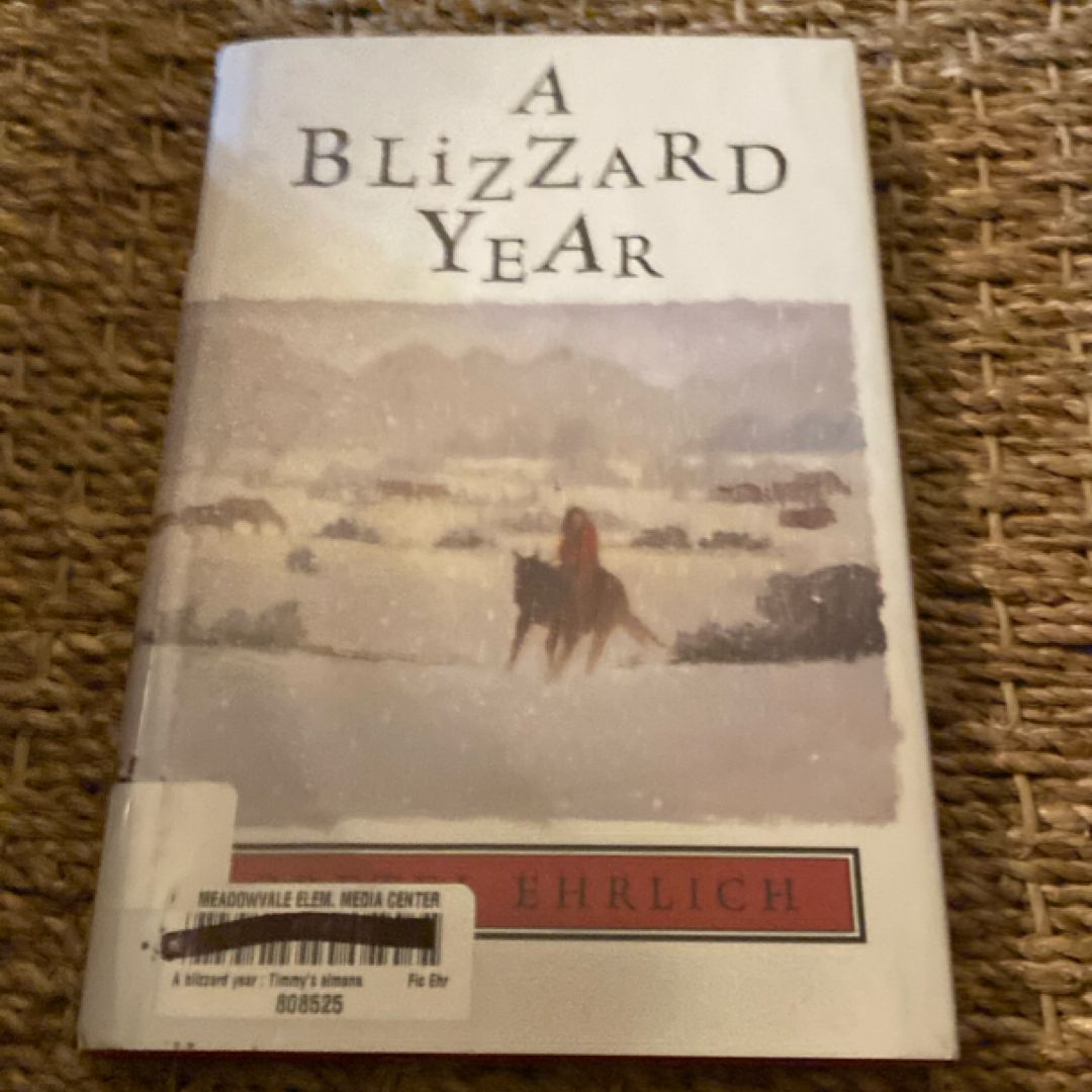 A Blizzard Year