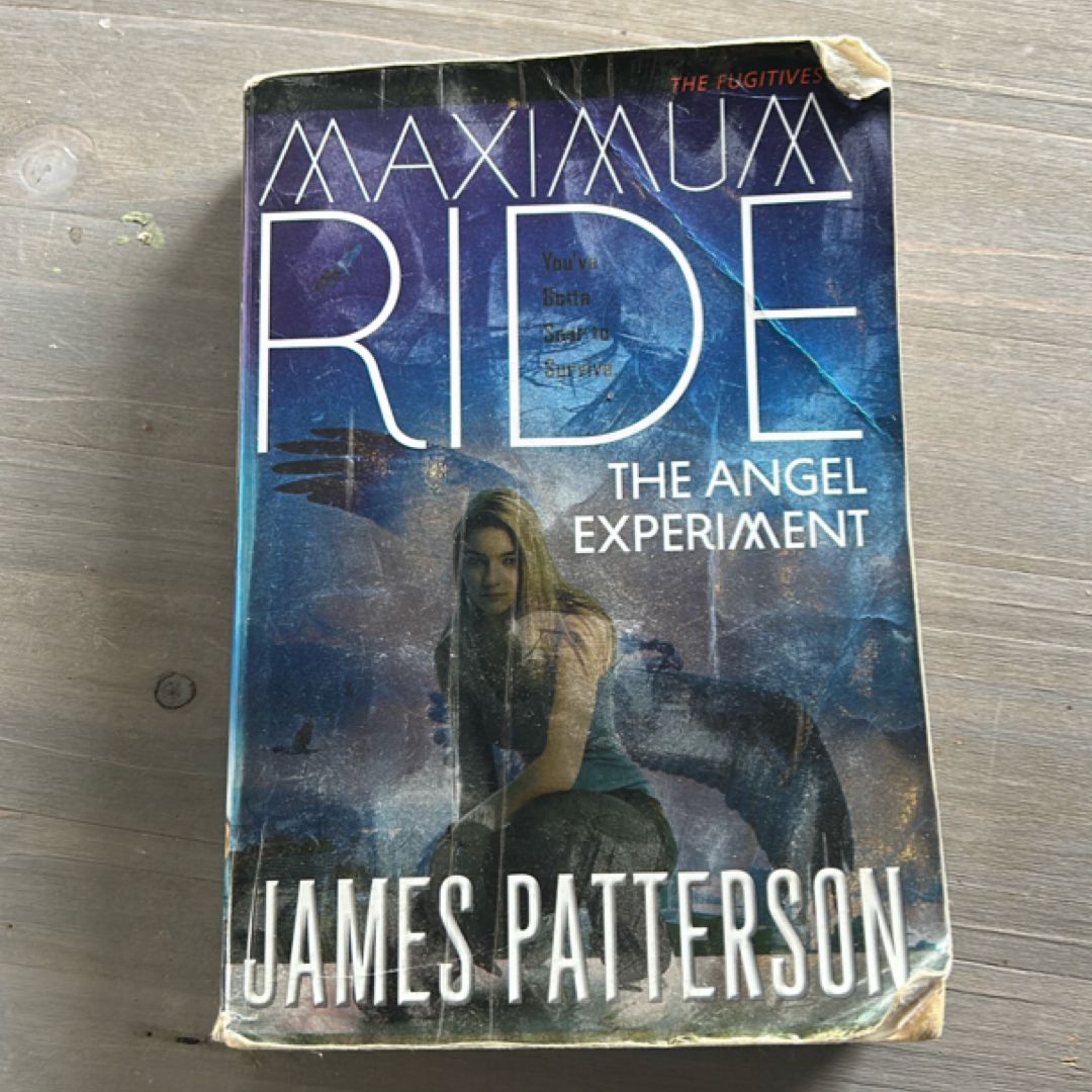 The Angel Experiment