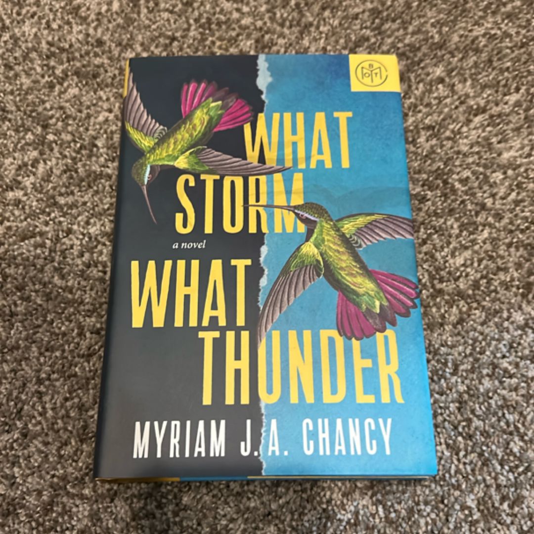 What Storm, What Thunder