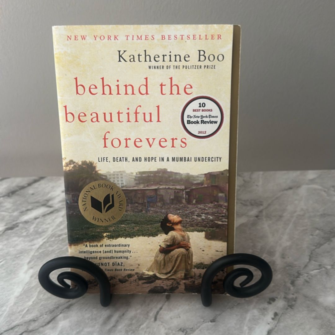 Behind the Beautiful Forevers