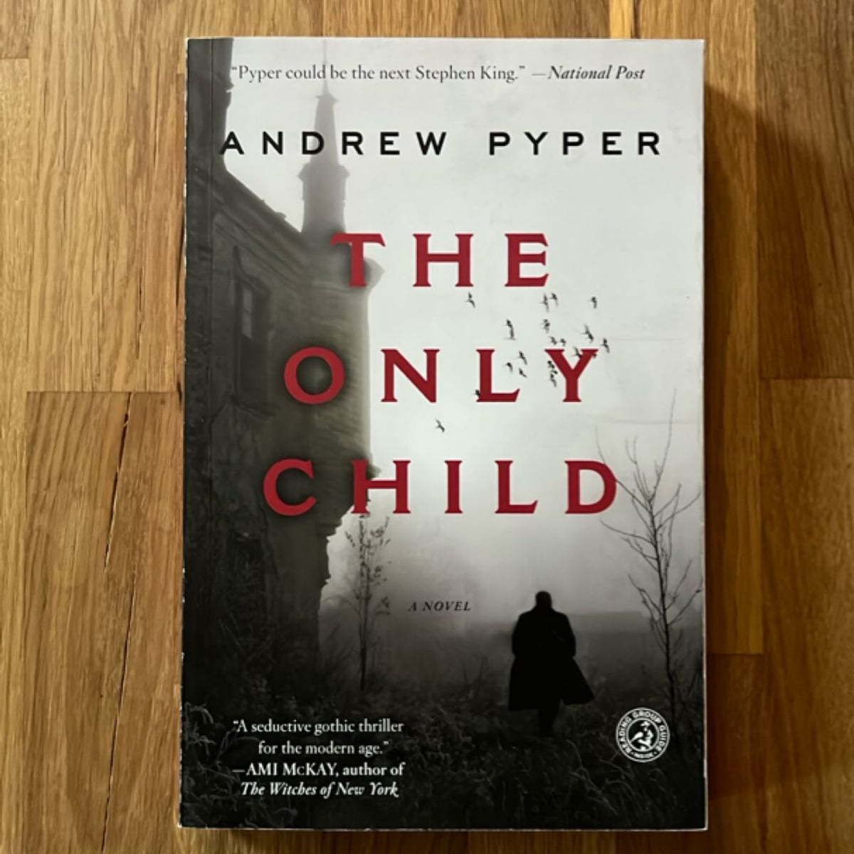 The Only Child by Andrew Pyper