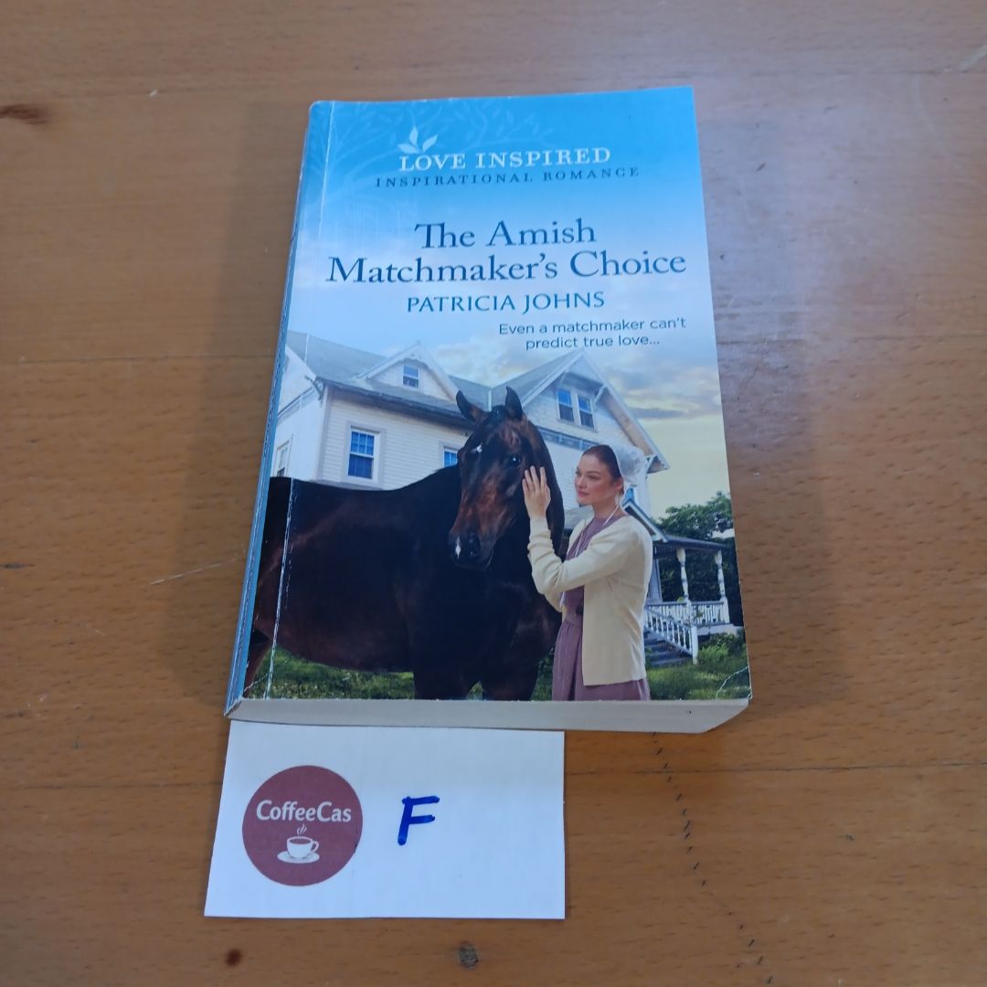 The Amish Matchmaker's Choice