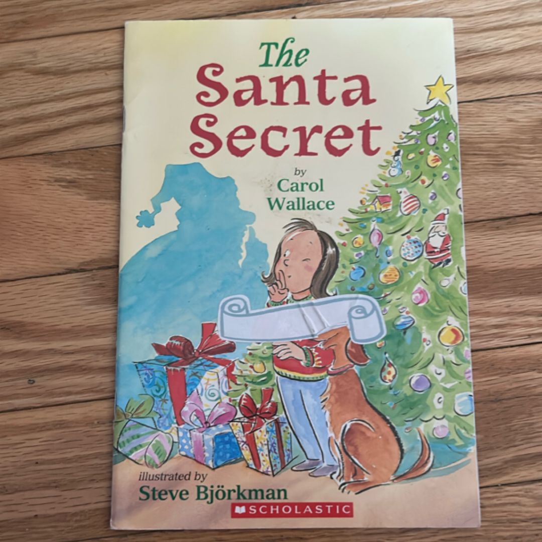 The Santa Secret