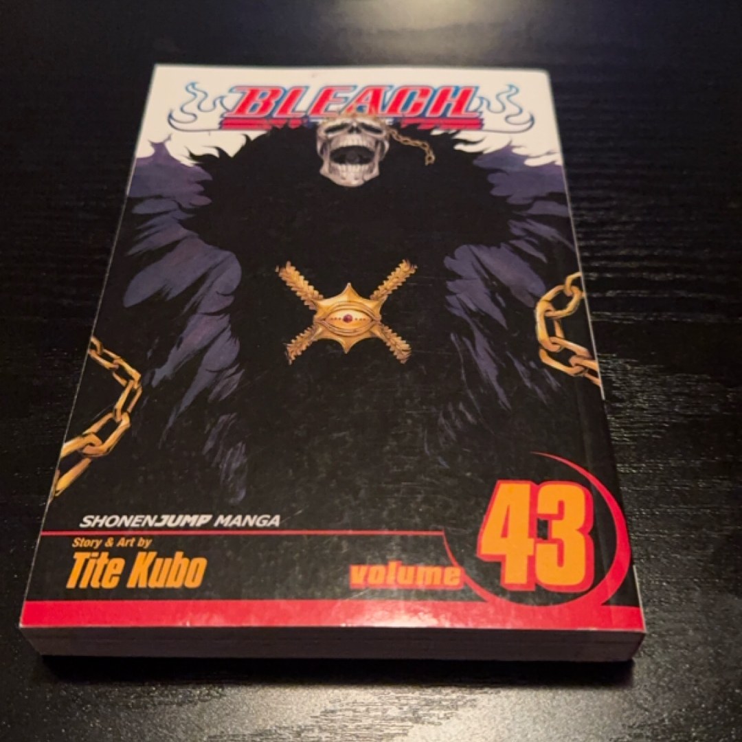 Bleach, Vol. 43
