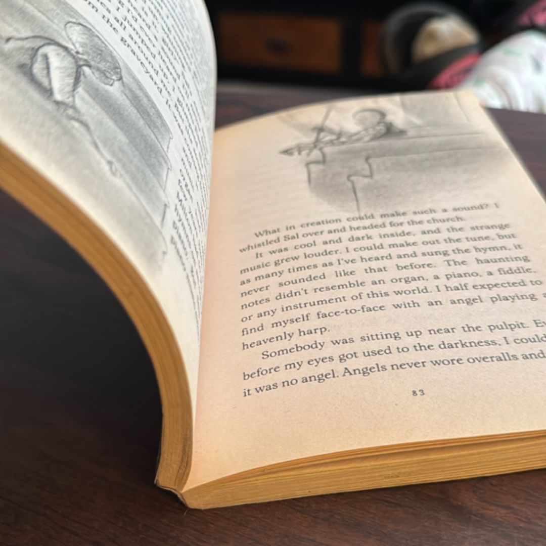 The Seven Wonders of Sassafras Springs by Betty G. Birney