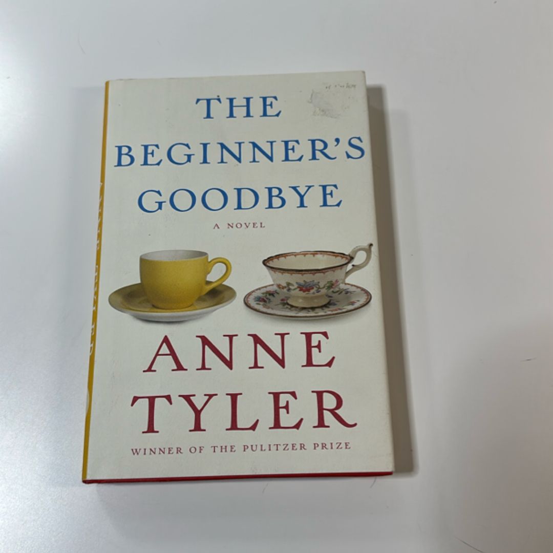 The Beginner's Goodbye