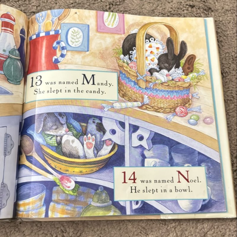 So Many Bunnies Board Book by Rick Walton
