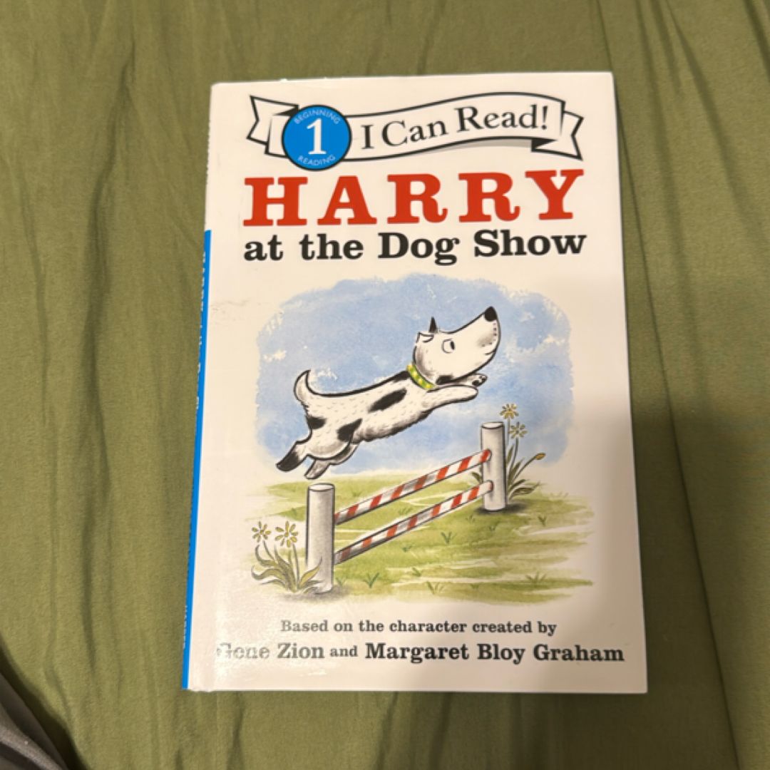 Harry at the Dog Show