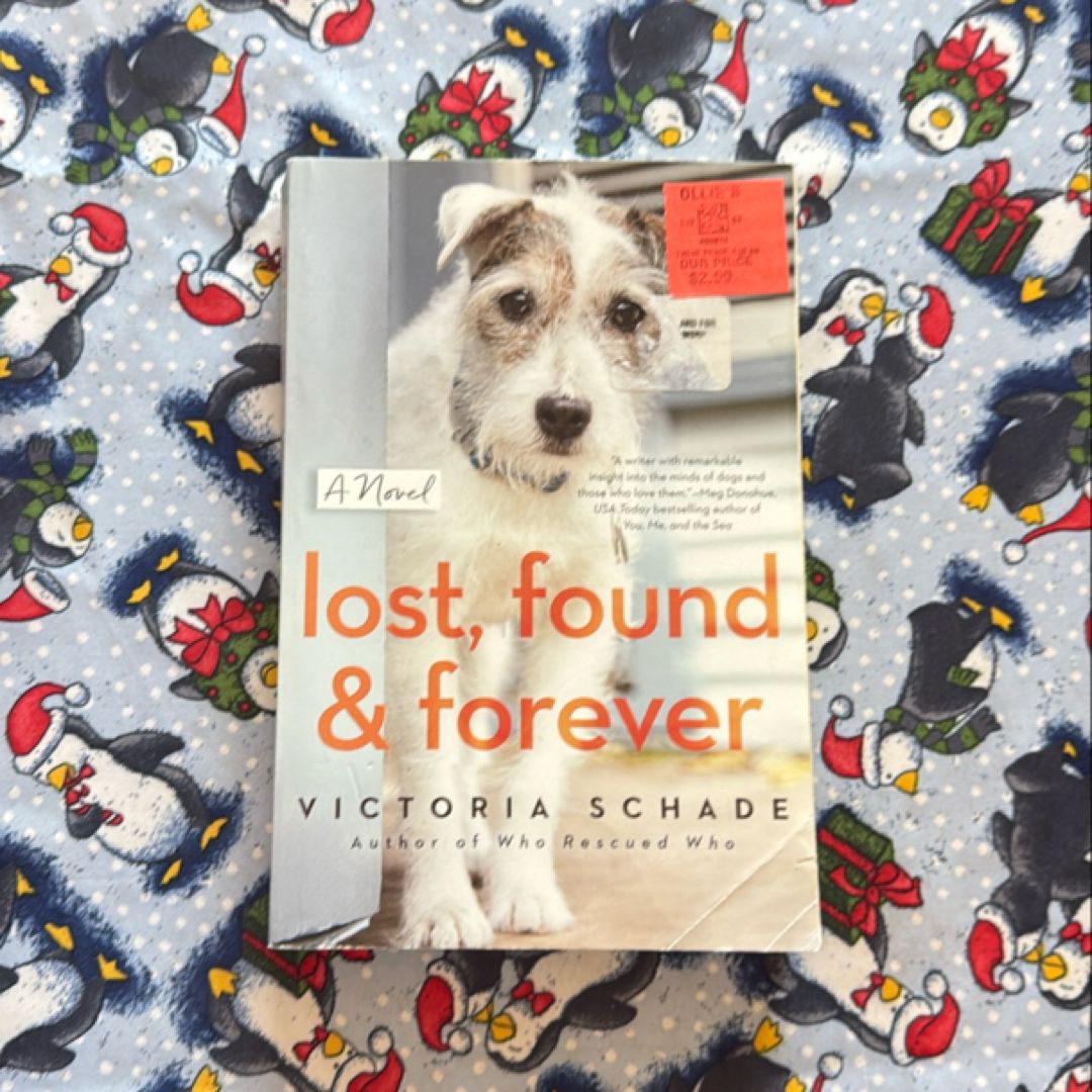 Lost, Found, and Forever