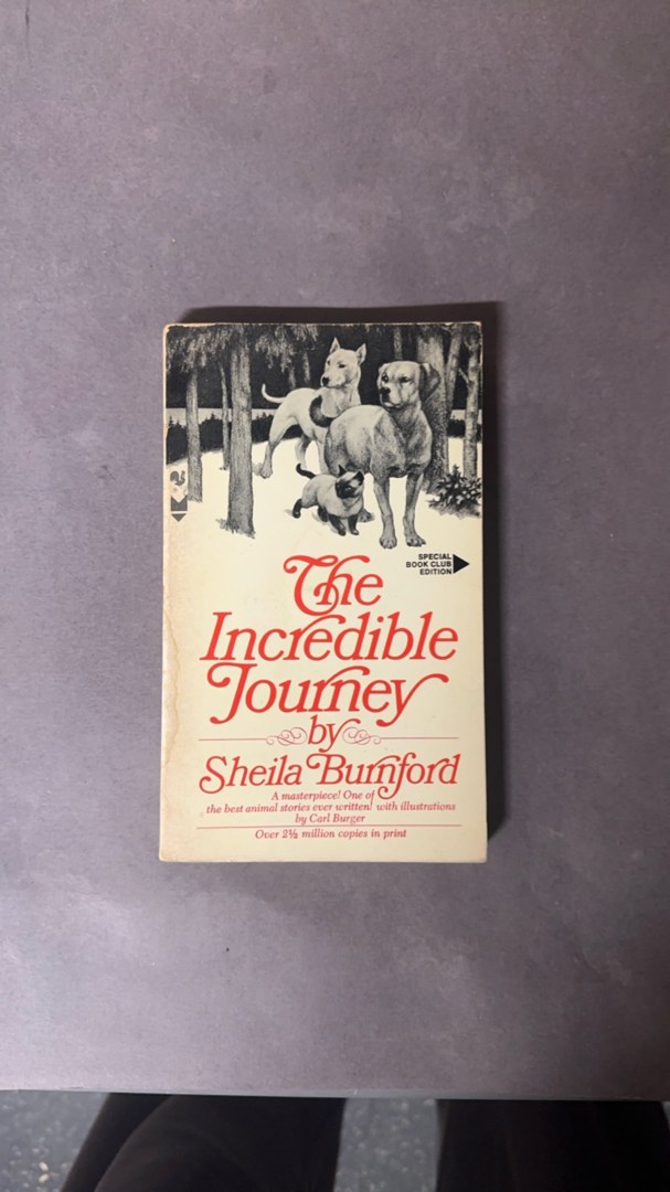 The Incredible Journey