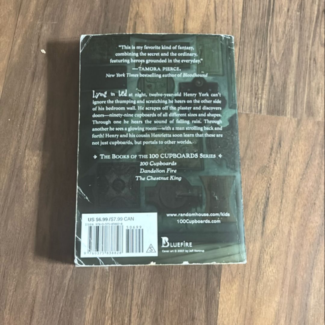 100 Cupboards (100 Cupboards Book 1)