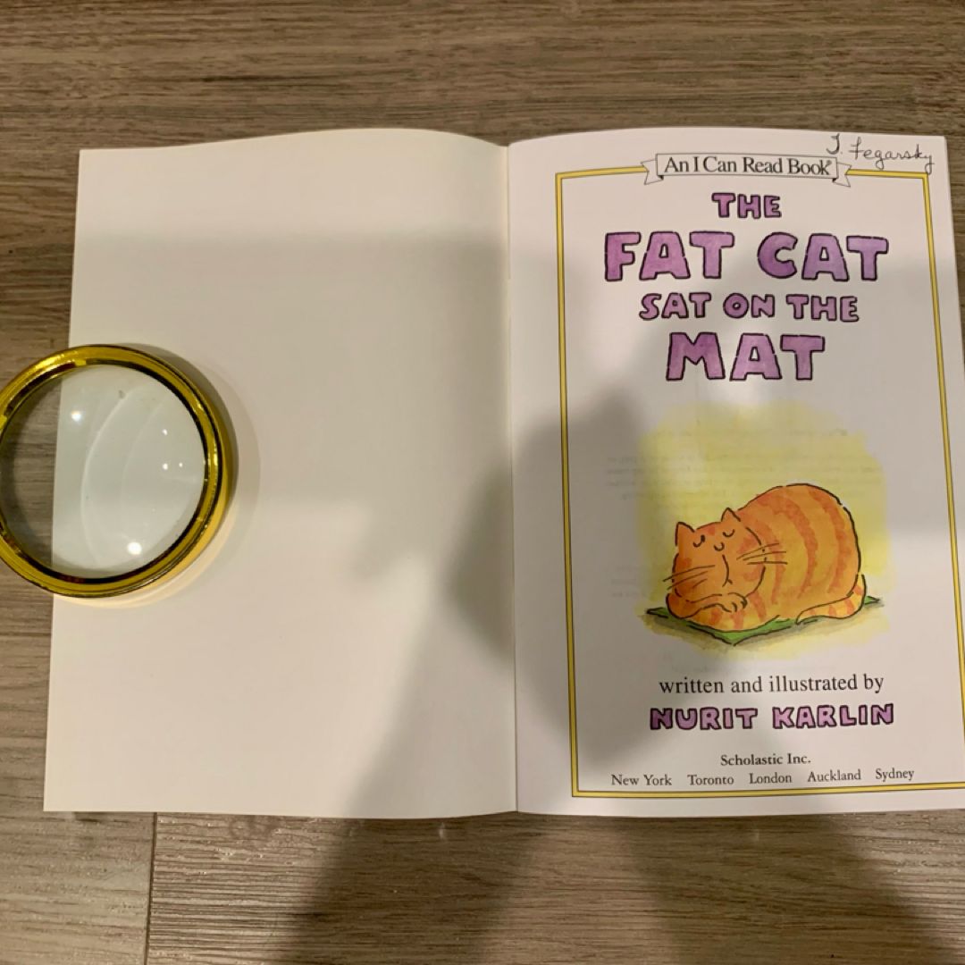 The Fat Cat Sat on the Mat