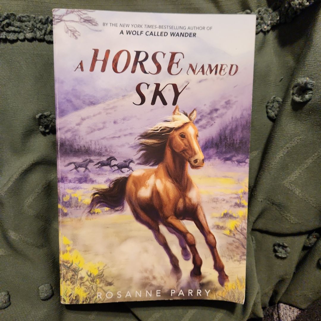 A Horse Named Sky