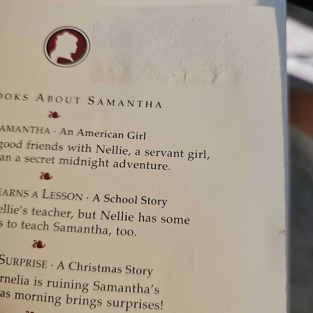 Samantha Saves the Day A Summer Story