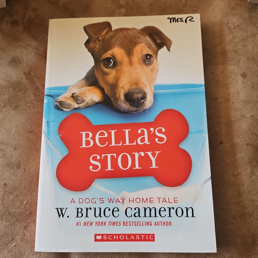 Bella's Story