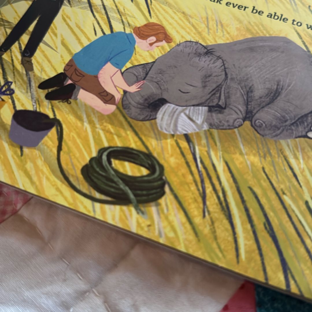 The Elephant's New Shoe