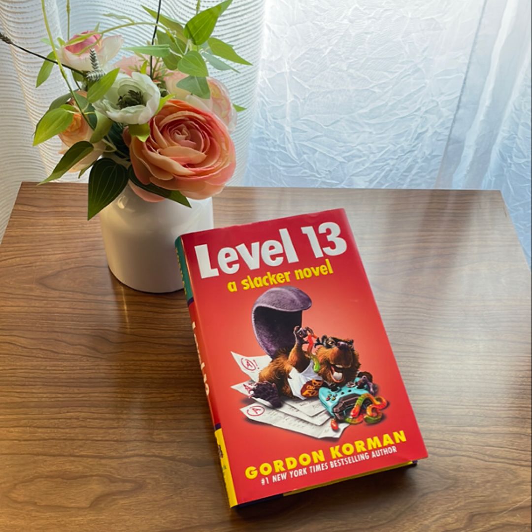 Level 13 (a Slacker Novel)