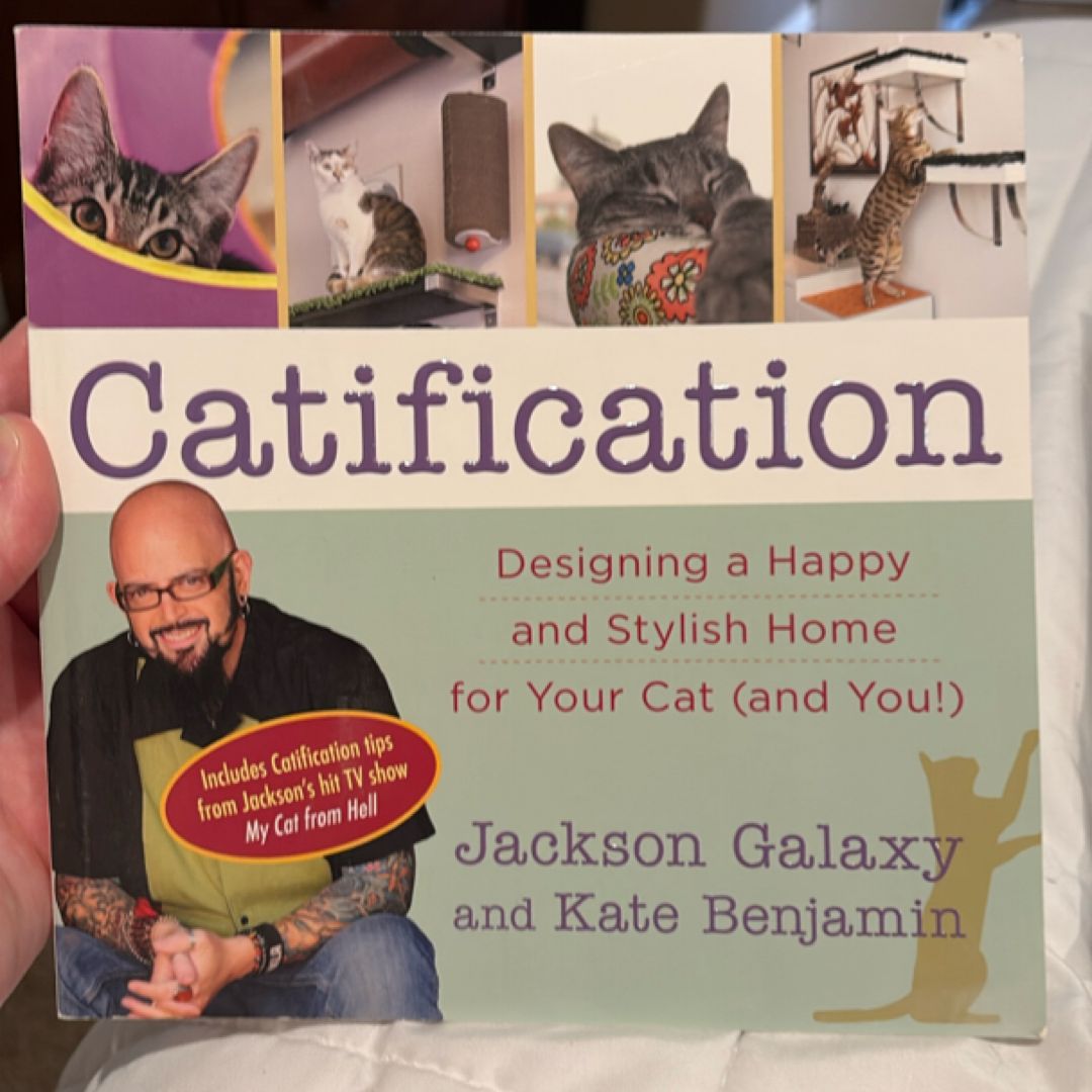 Catification