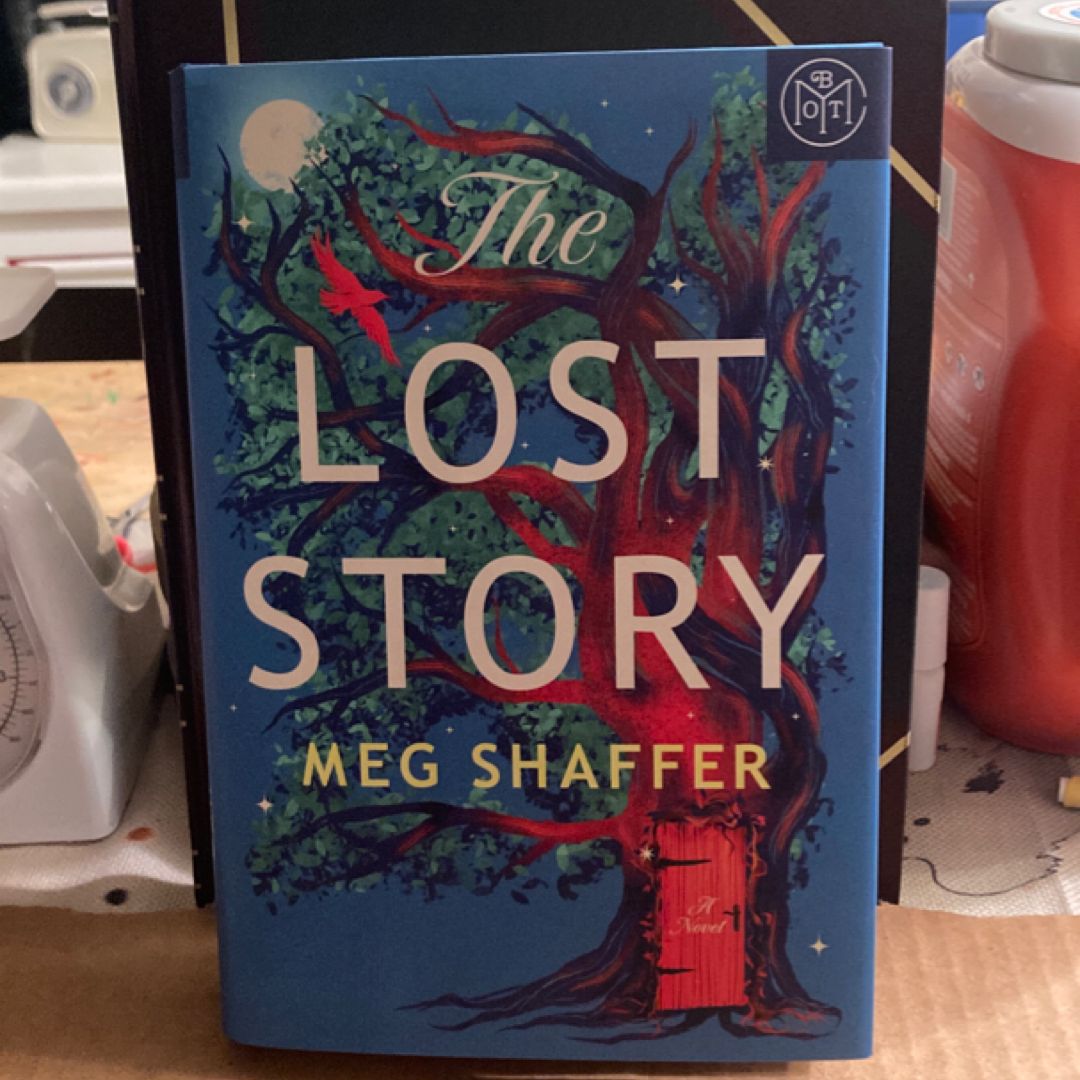 The Lost Story