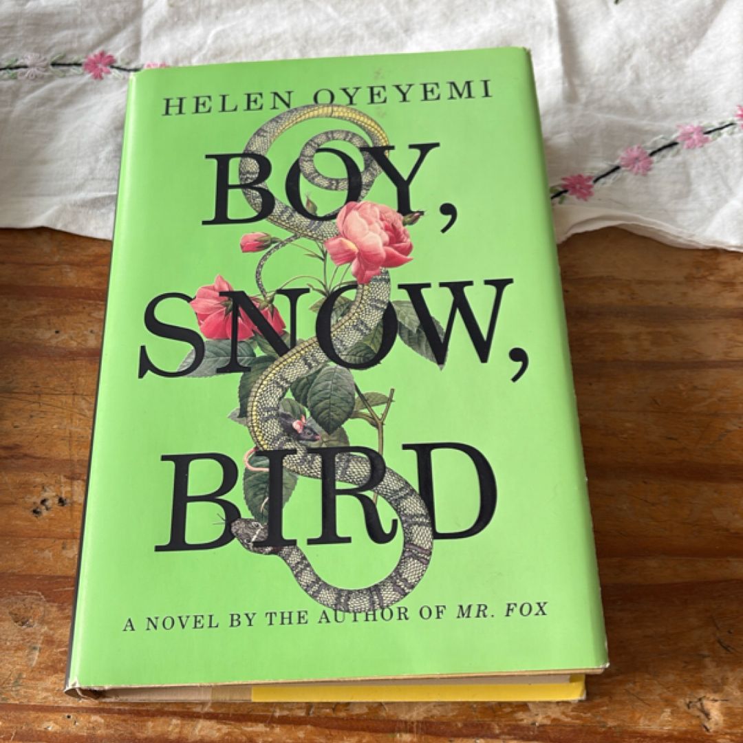 Boy, Snow, Bird