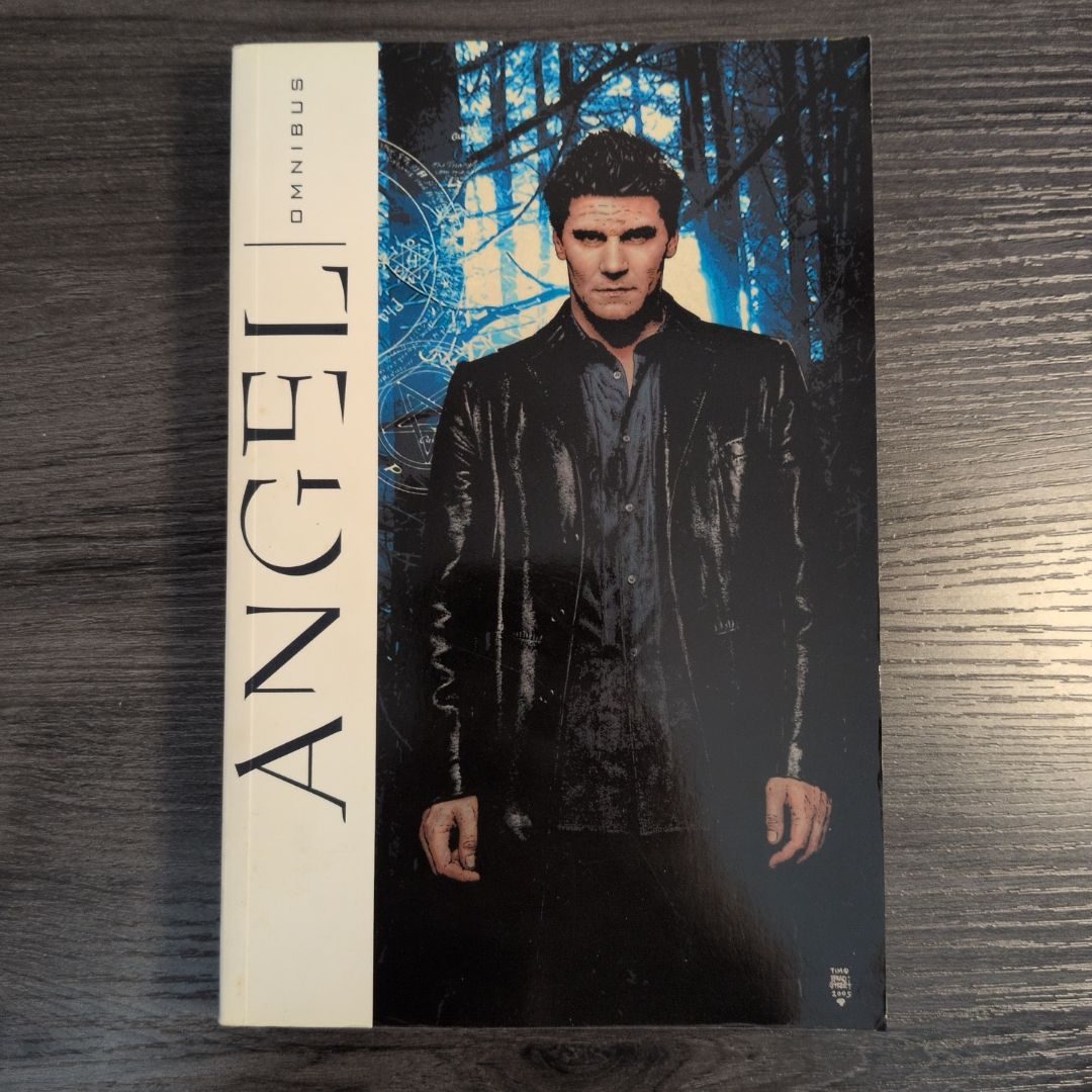 Angel Omnibus
