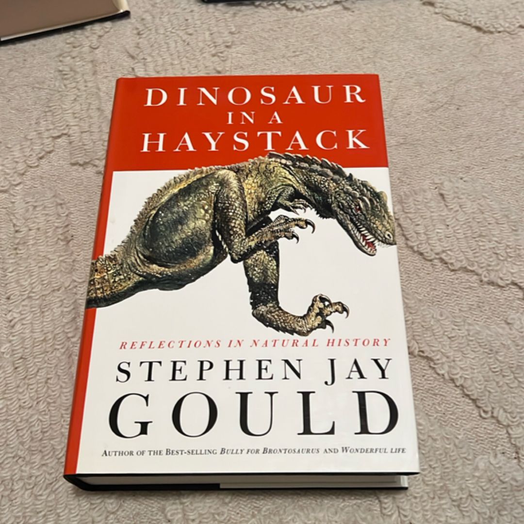 Dinosaur in a Haystack
