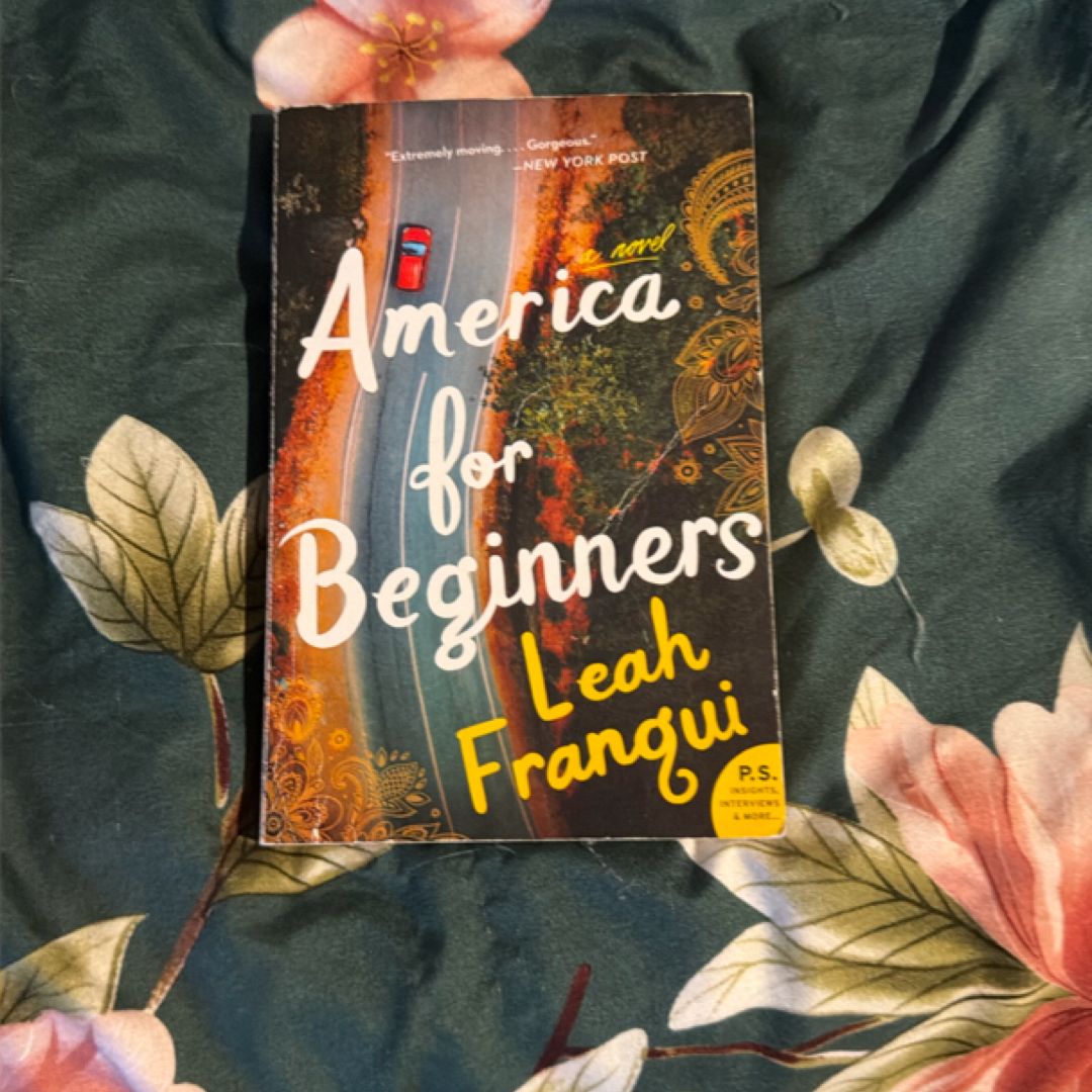 America for beginners