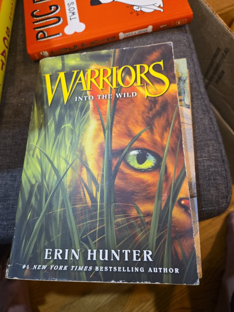 Warriors #1: into the Wild