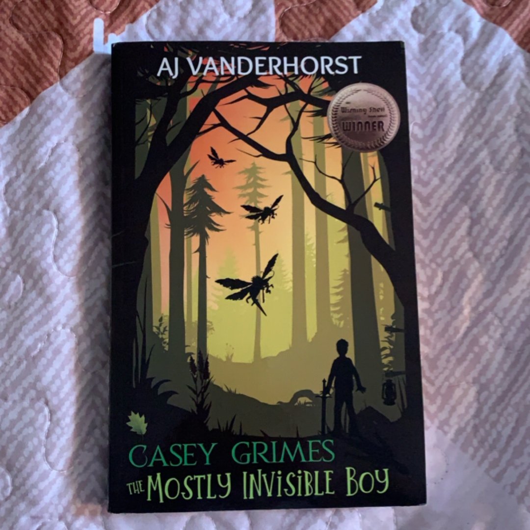 The Mostly Invisible Boy