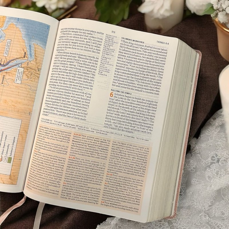 CSB Study Bible, Rose Gold LeatherTouch, Indexed by C. S. B. Bibles CSB ...