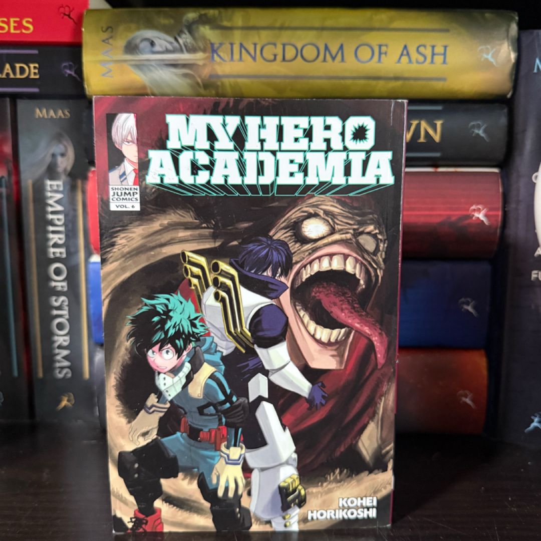 My Hero Academia, Vol. 6