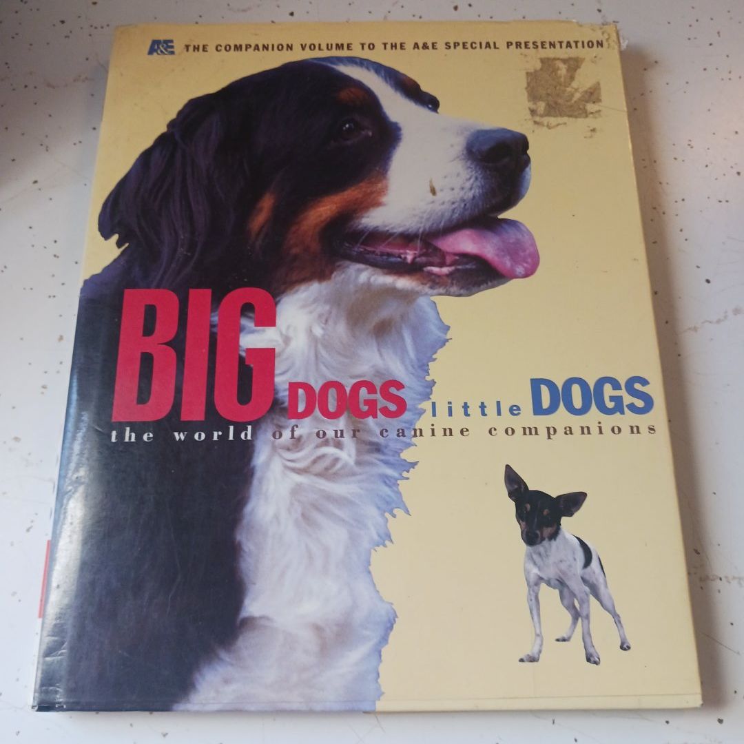 Big Dogs Little Dogs