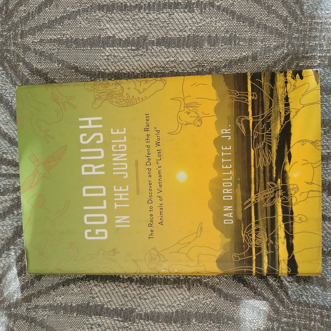 Gold Rush in the Jungle