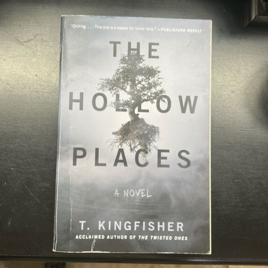 The Hollow Places