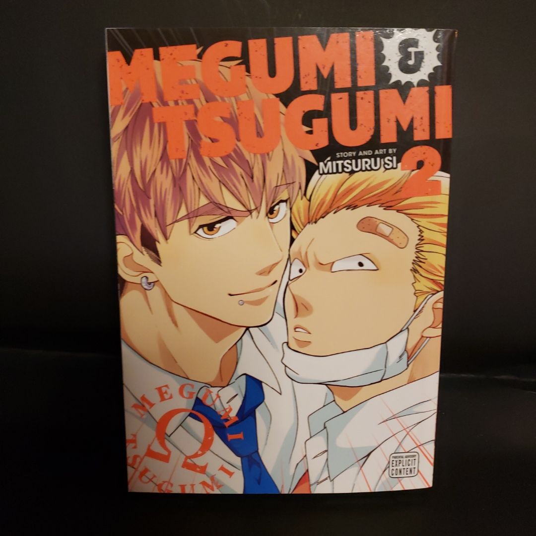 Megumi and Tsugumi, Vol. 2