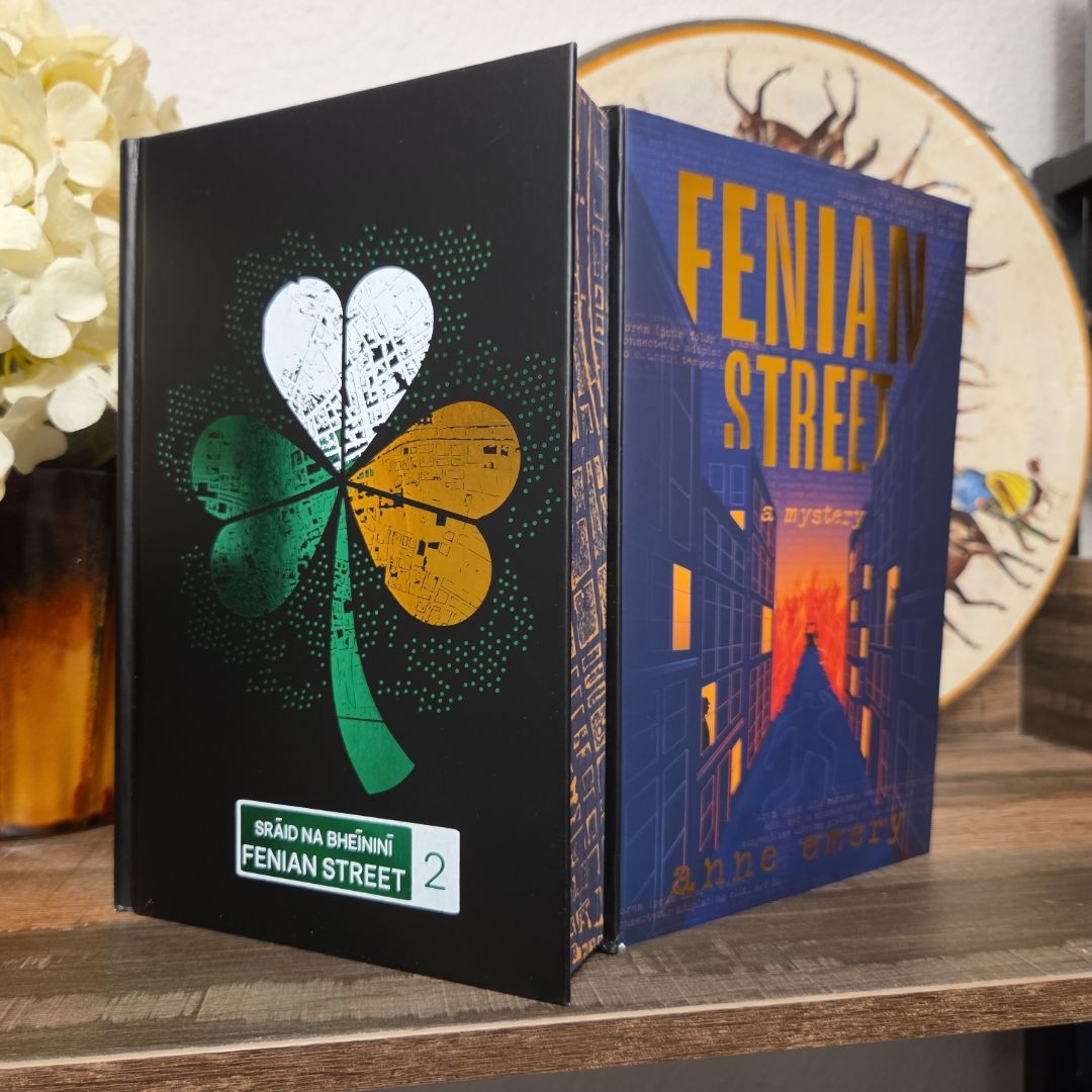 Fenian Street