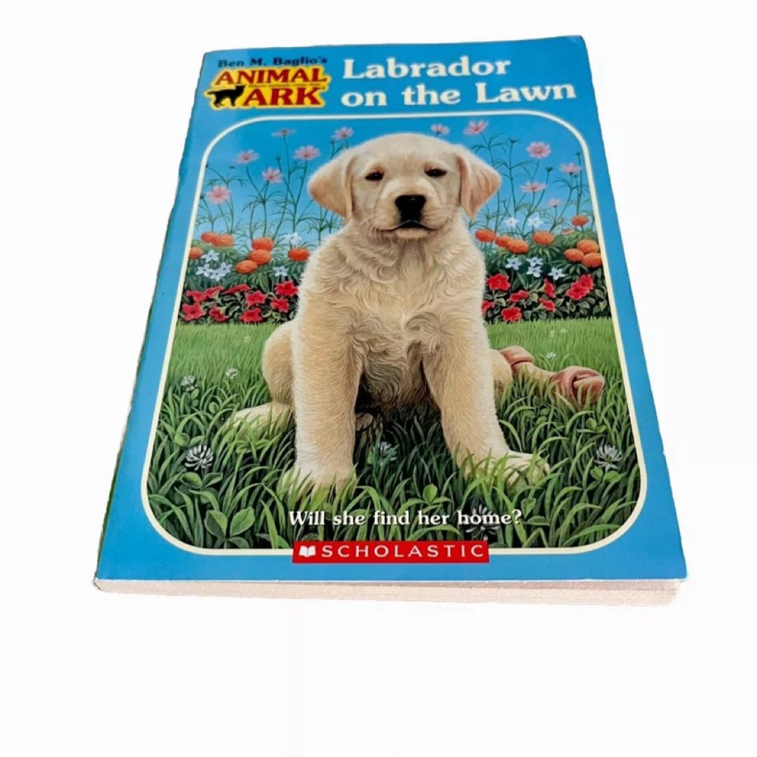 Labrador on the Lawn