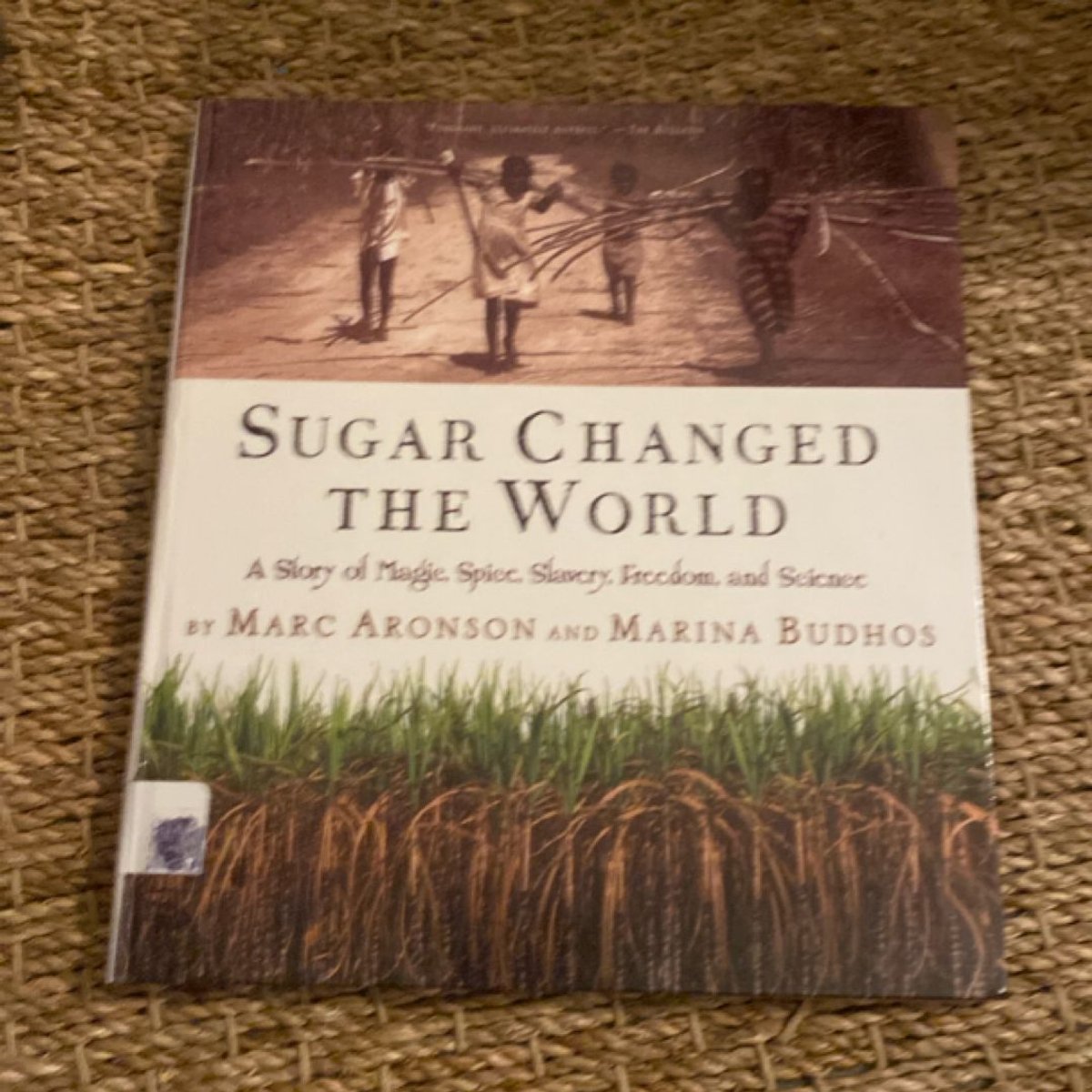 Sugar Changed the World by Marc Aronson, Marina Budhos