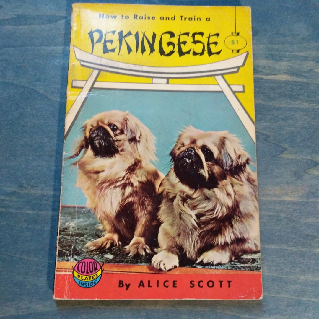 How to Raise and train a Pekingese 