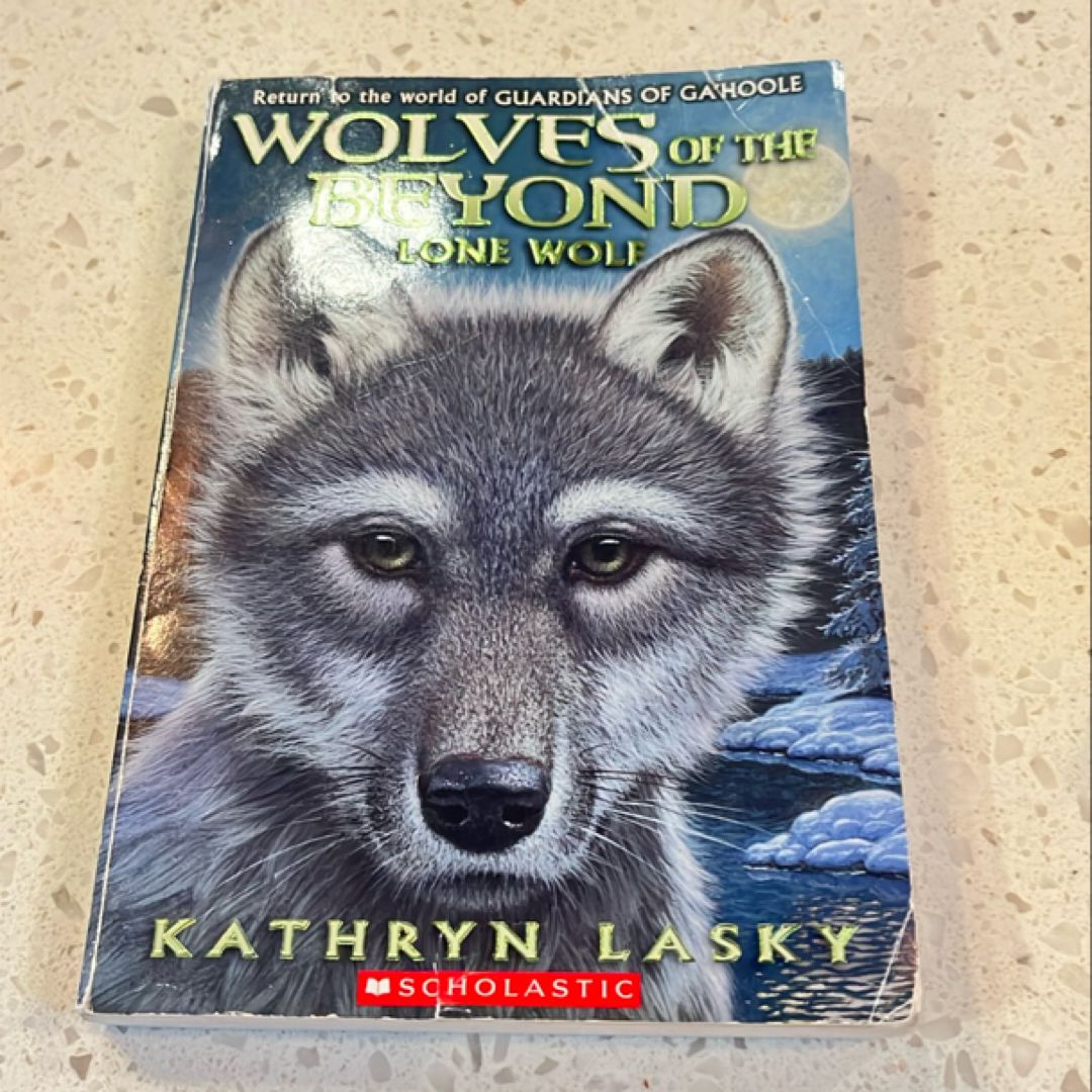 Sale image for 64b16e29-69bc-4952-af78-d6ca9100a94f-2Xo95DjBo5eFySx9ozd6seM2TiE3