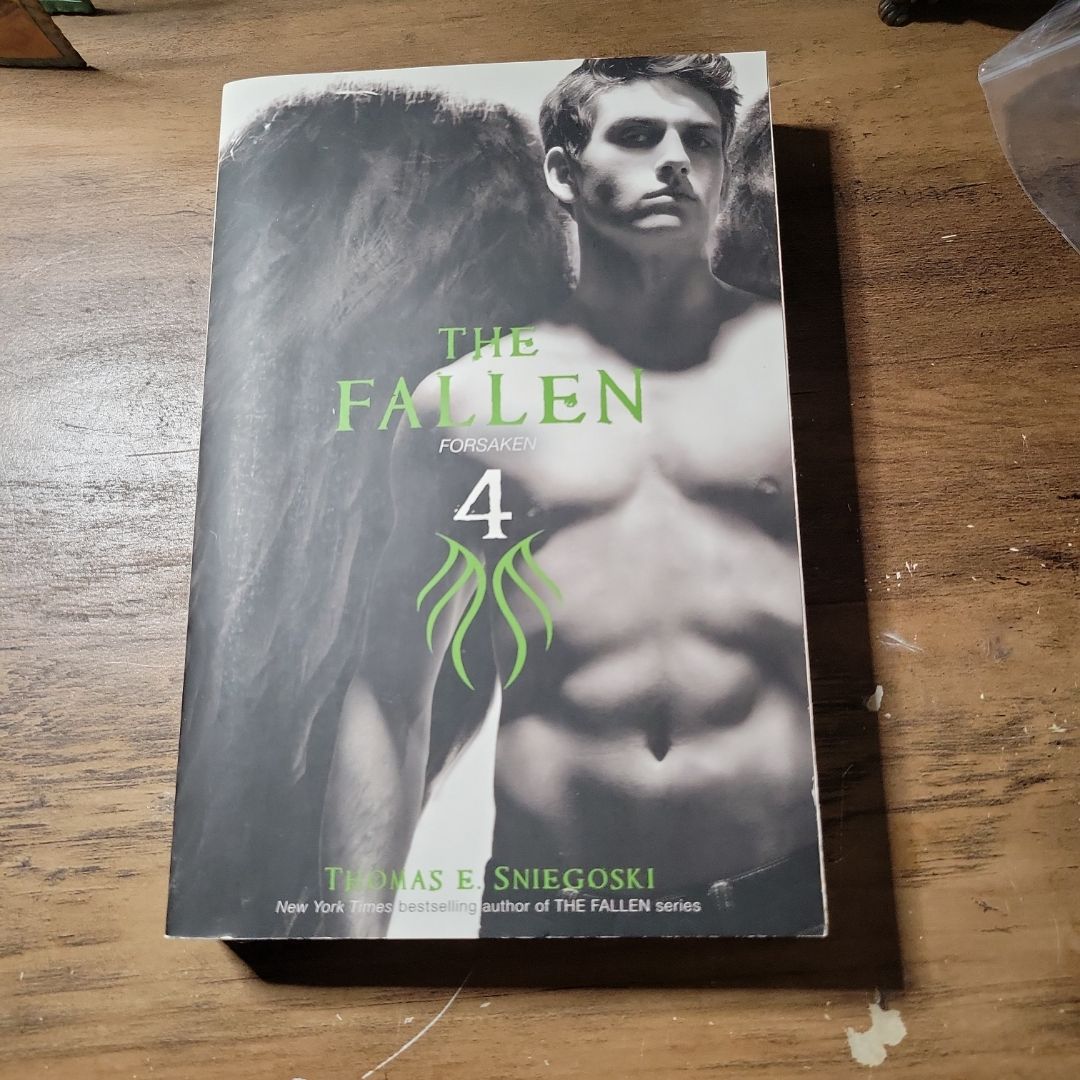The Fallen 4