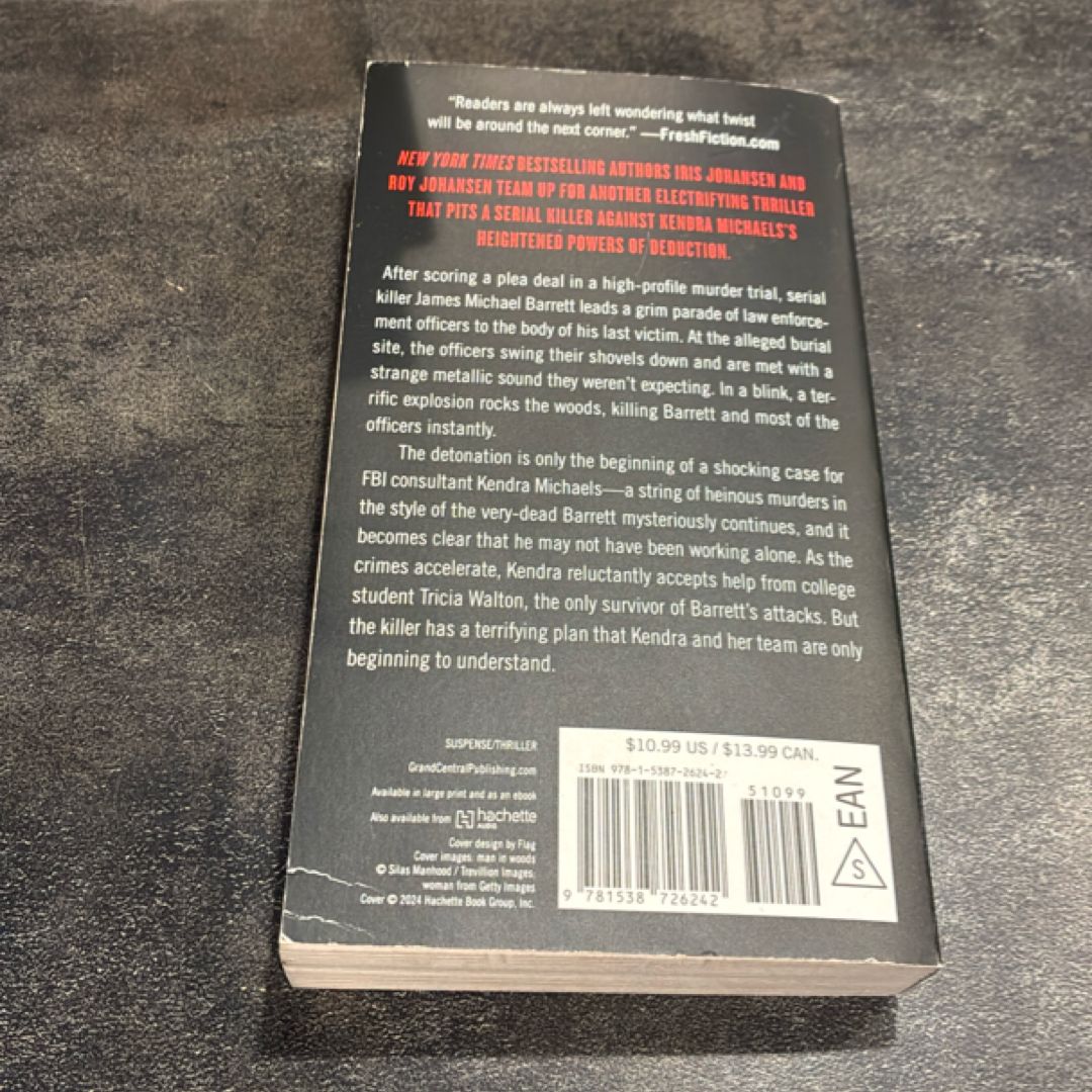 More Than Meets the Eye by Iris Johansen, Roy Johansen