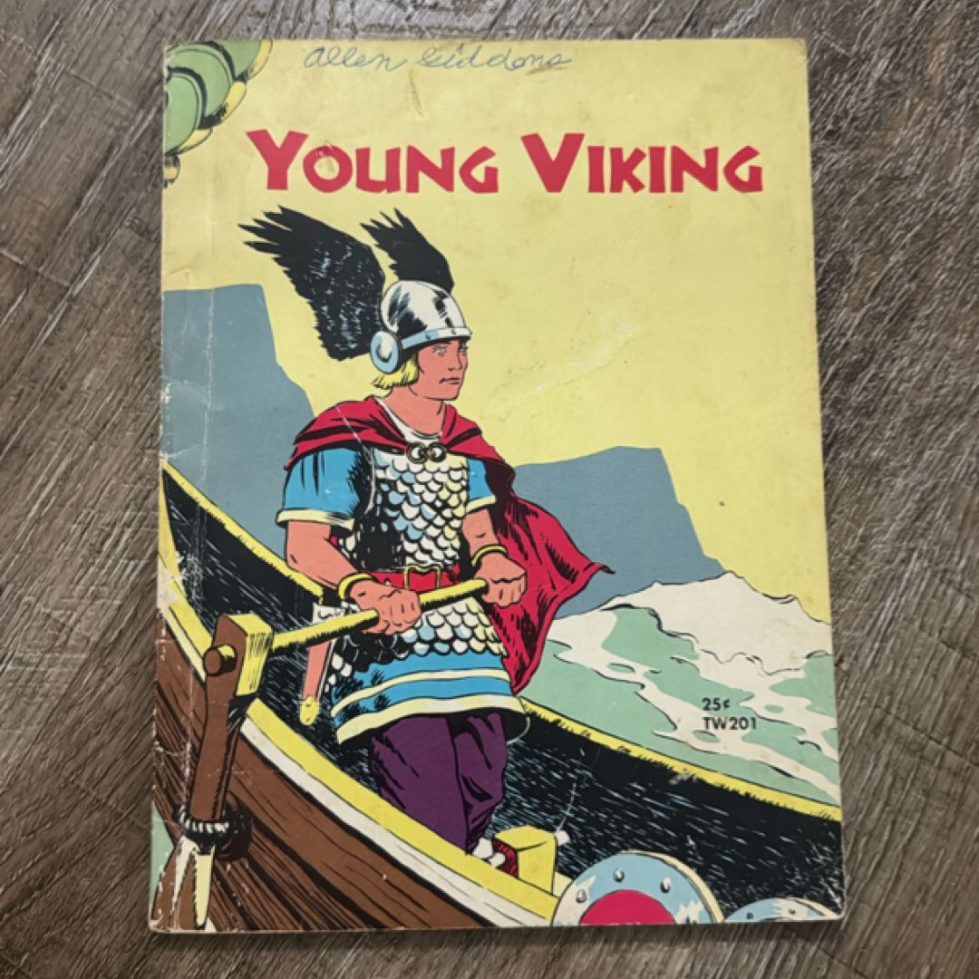 Young Viking 
