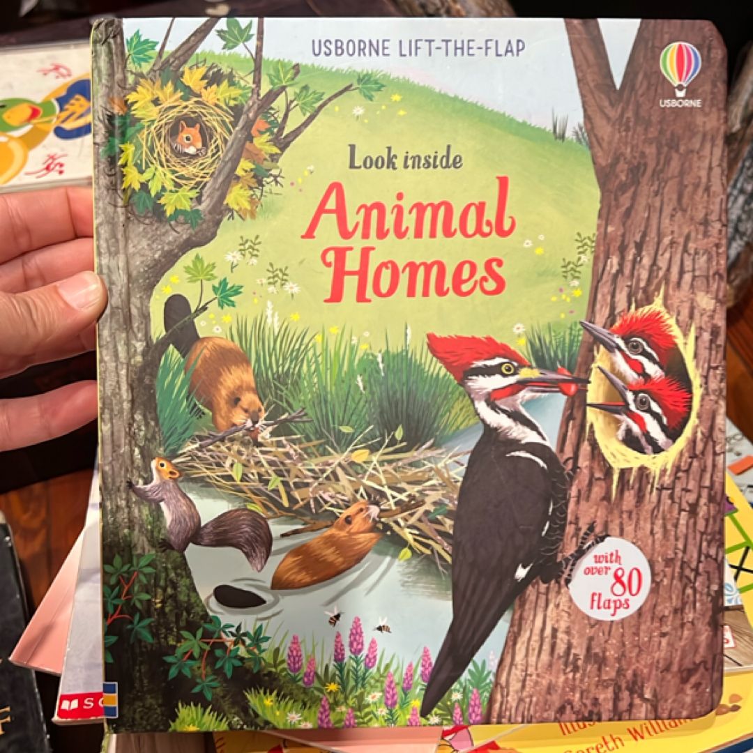 Look Inside Animal Homes