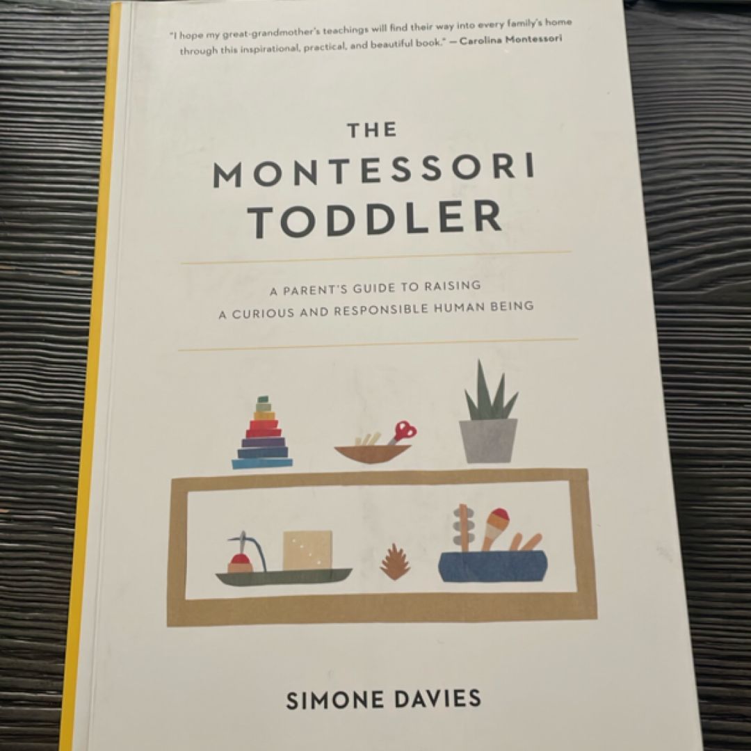 The Montessori Toddler