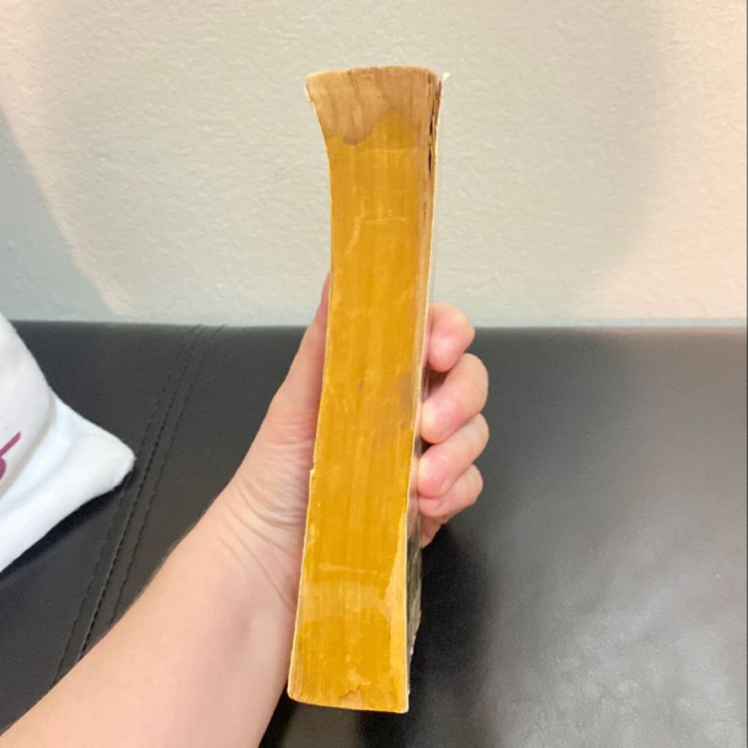 Opinion of the Court